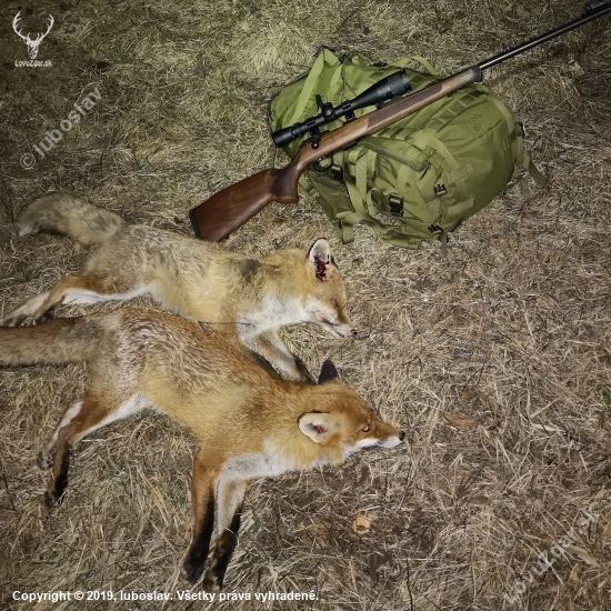 CZ 457 premium 22 LR & Fox