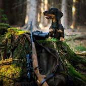 Thor zo Šraneckých borín