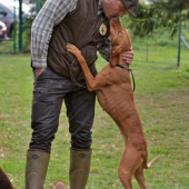 Love alá tullamore....