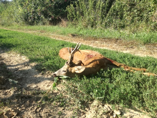 Konečne sa zadarilo...
