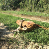 Konečne sa zadarilo...