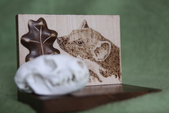 ...podlozka pod lebku kuny...