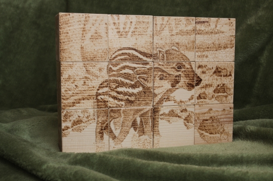 ...pre dcerku-kocky...