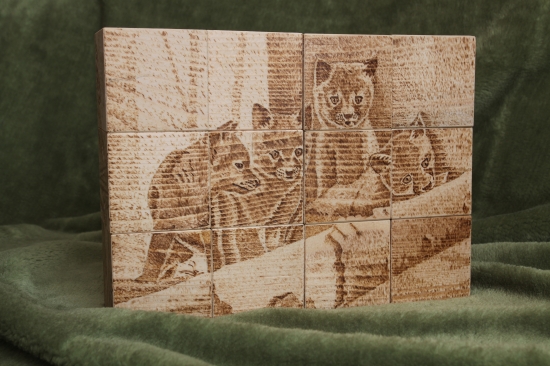 ...pre dcerku-kocky...