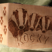 ...kocky...