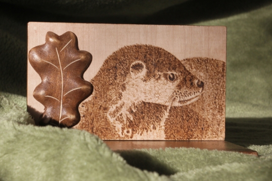 ...podlozka pod lebku vydry...