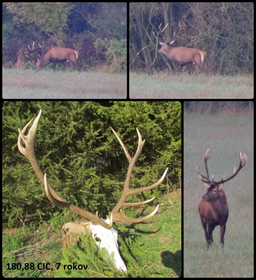 od patrónov k 40tke