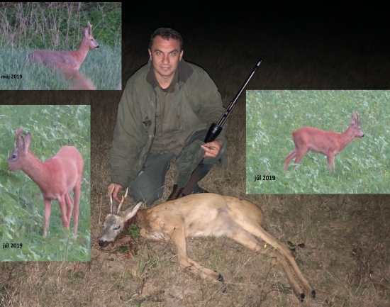 vyhliadnutý pre hosťa