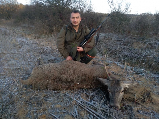 tohtoročný ihličiak