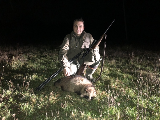 prvý psík medvedíkovitý