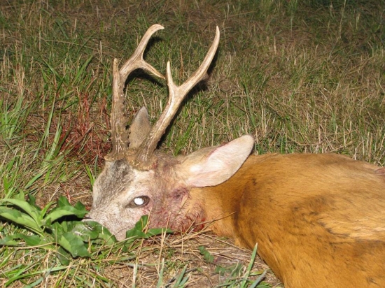 Bronzový