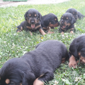 Na tráve je nám HEJ