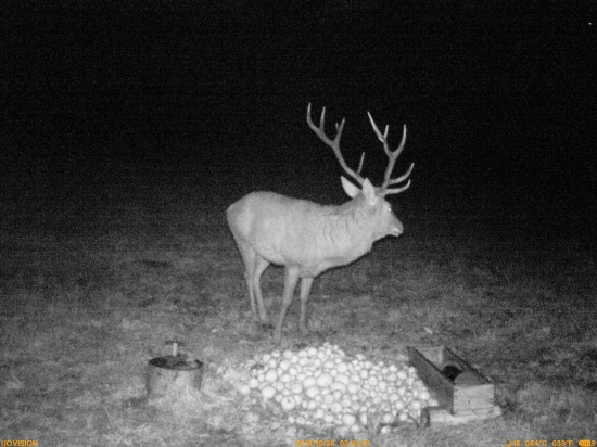 Už sa začínajú ukazovať