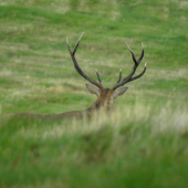Pohľad do doliny II