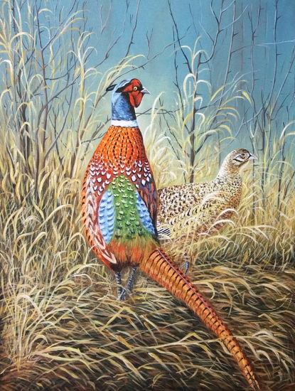 Bažanti, akryl 52x46