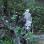 Spomienka na posledného...2012