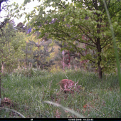 Mamáá počkaj, ja sa bojííím...