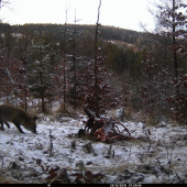 Paskúdi, nenažraté,akovždy nič nenechali...