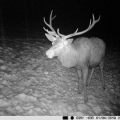 A na deň presne sa vrátil