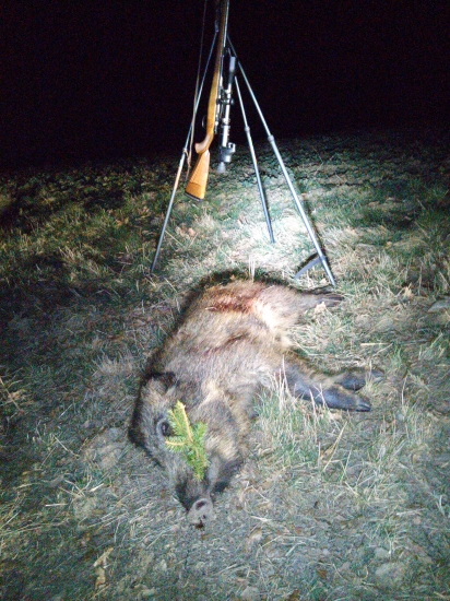 sele v těžkou dobu