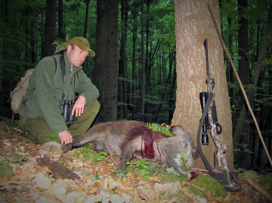 Hlboko v tmavých horách