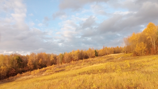 Východné Karpaty v zlatom šate