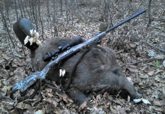 V hustých mladinách