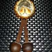 Kravata zo zlatníctva Zlatý Orol...