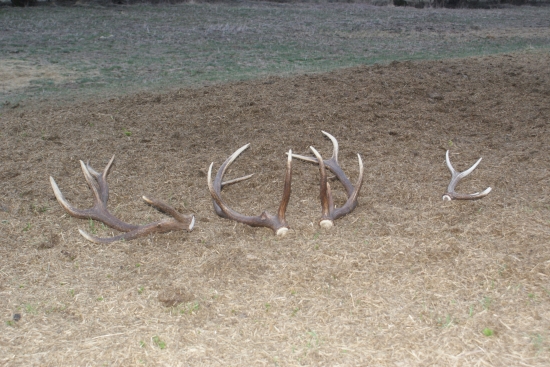 po vela,vela km sa dnes podarilo