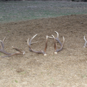 po vela,vela km sa dnes podarilo