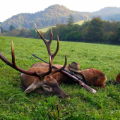 Spomienka na ruju 2017