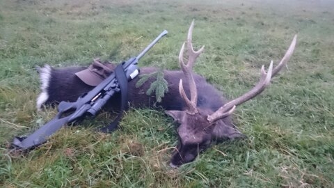 sika