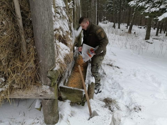 Prikrmenie v case nudze