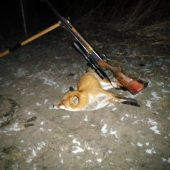 Keď Diana,dopraje a ruka sa nechveje. .