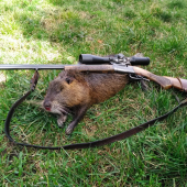 Jeden z tých väčších