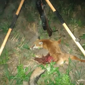 Keď zahučí talianka