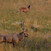 Odchádzajúci 10torák