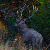 Kontrola stanovišťa