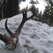 Niečo na ochladenie