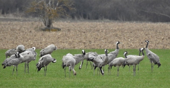 Nabrať síl a tiahnuť ďalej