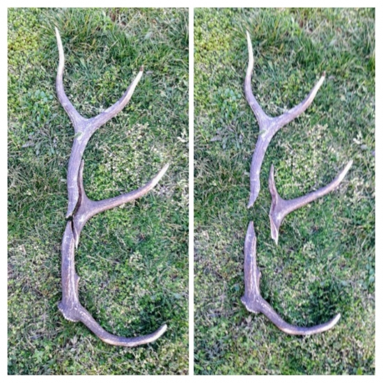 Kompletný puzzle zhod