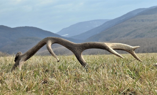 Pohľad do krajiny..