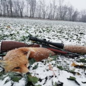 Lišiak na prvom snehu