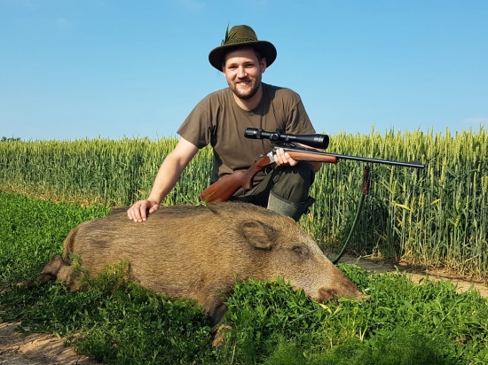 Lanštiak z pšenice