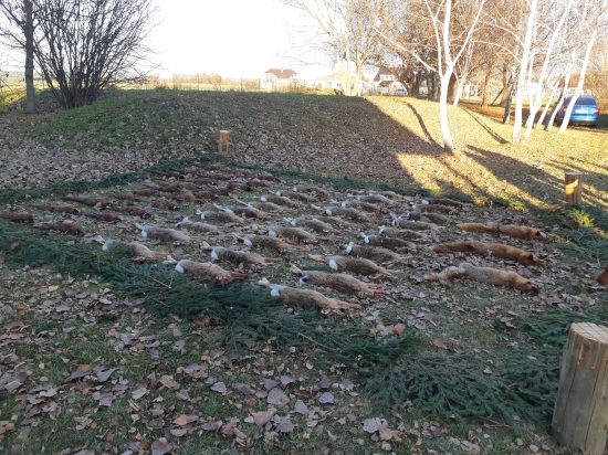 Poľovnicky sviatok z ineho uhla