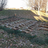 Poľovnicky sviatok z ineho uhla