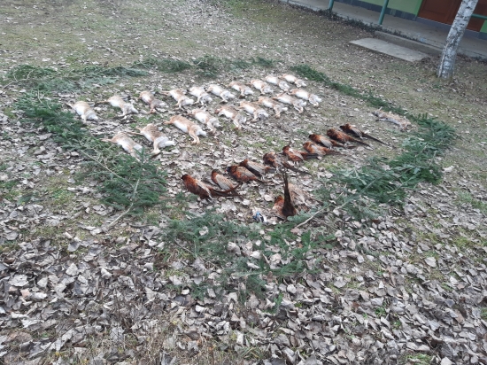A je po všetkom...