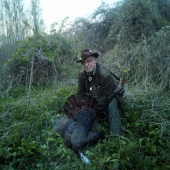 Divoký krocan - morka divá