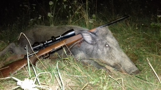 lanštiak