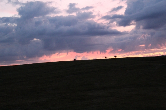 Na horizonte.